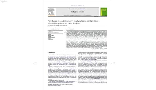 Plant damage to vegetable crops by zoophytophagous mirid predators